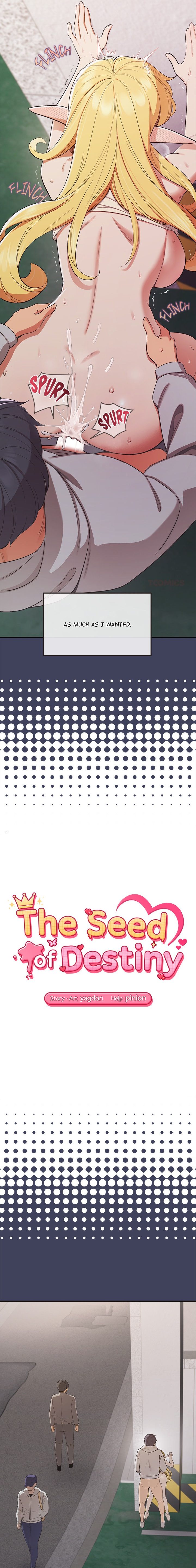 The Seed of Destiny - Chapter 20 Page 2